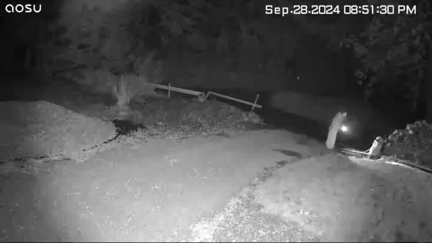 Camera still from The return from the entrance