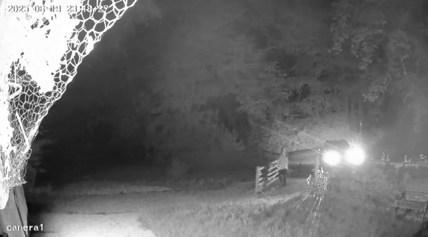 Camera still from Night-time activity by the gate and frontage