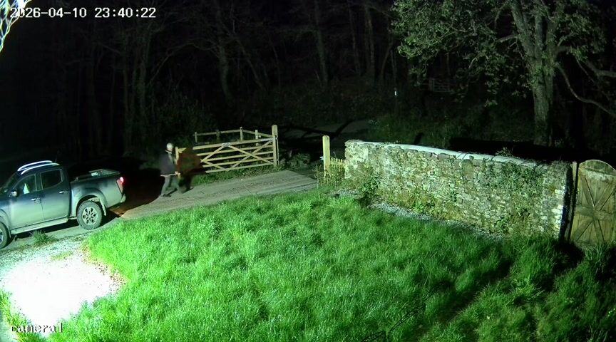 Camera still from Late arrival: the gate does not settle shut