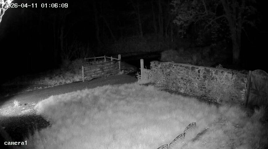 Camera still from Headlights and manoeuvres after 1 a.m.